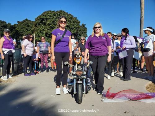 2023 SAN DIEGO WALK WITH US TO CURE LUPUS 15